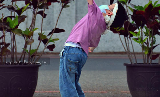 内容服务数据与事实整理